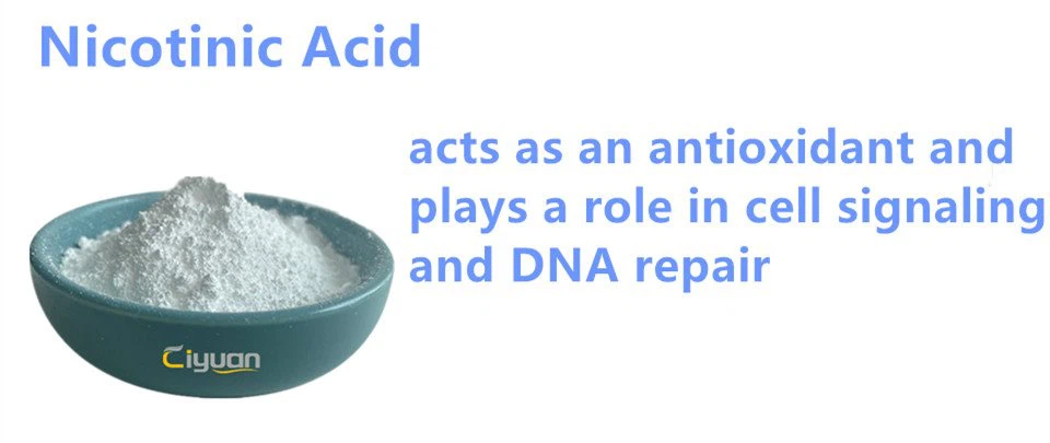 Nicotinic Acid Powder.png